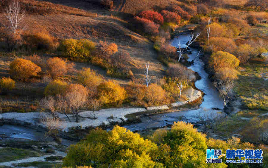 新华视觉_新华网天津