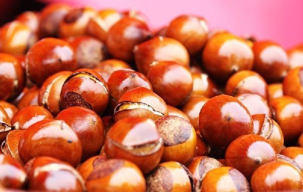 天士力华夏未来电商平台正式上线_新华网天津