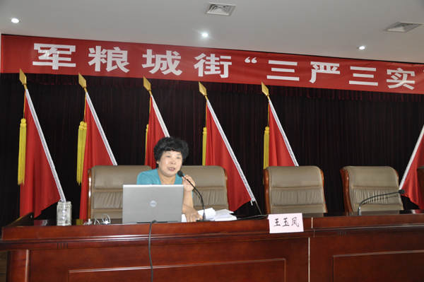 军粮城街“三严三实”专题党课