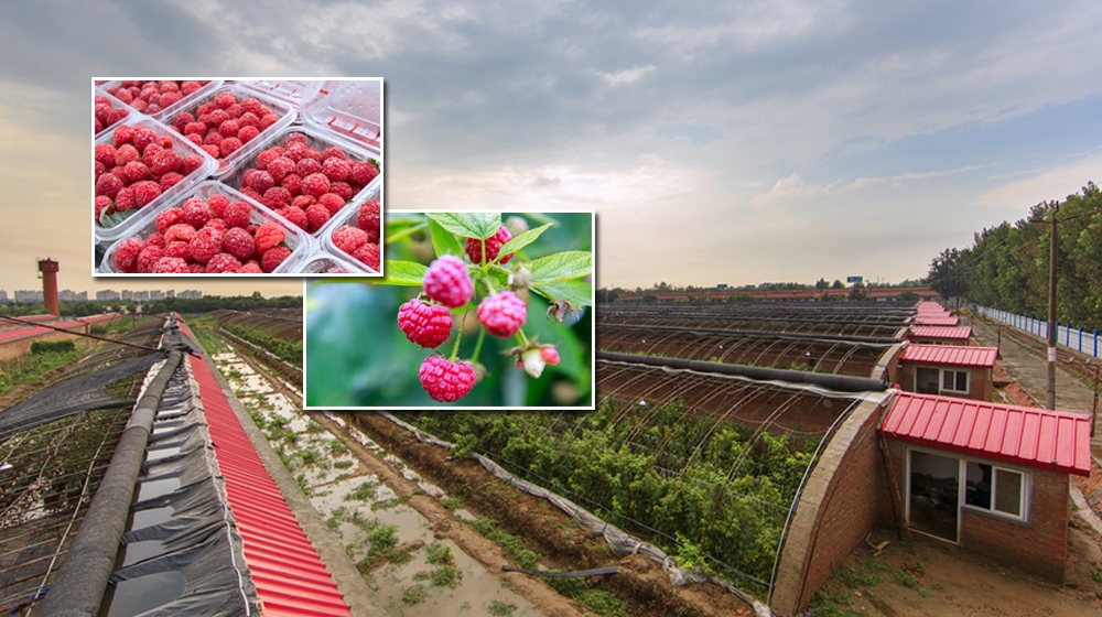 新华视觉_新华网天津