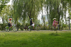 "走进绿博园"摄影大赛参赛作品《骑行游园》