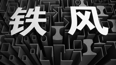 "走进绿博园"摄影大赛参赛作品《铁风》