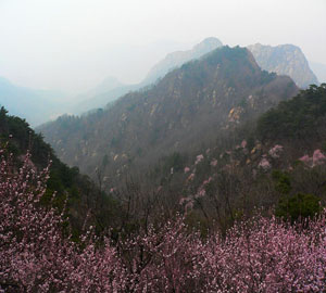 津门十景：三盘暮雨