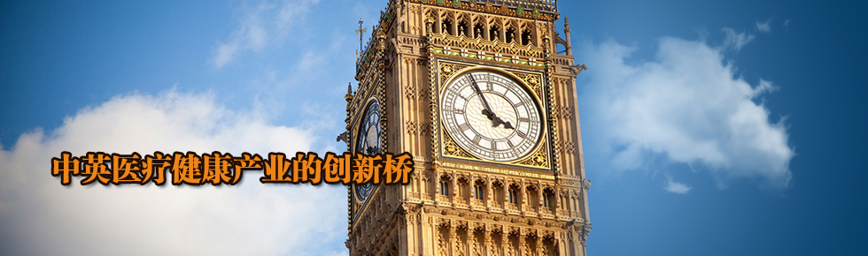 banner大图1