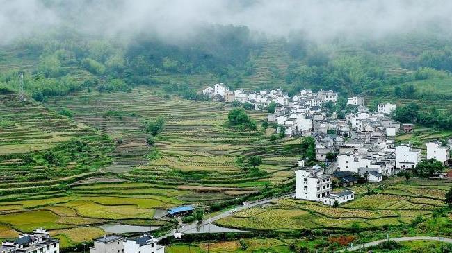 “中国最美乡村”婺源烟雨弥漫 如梦如幻