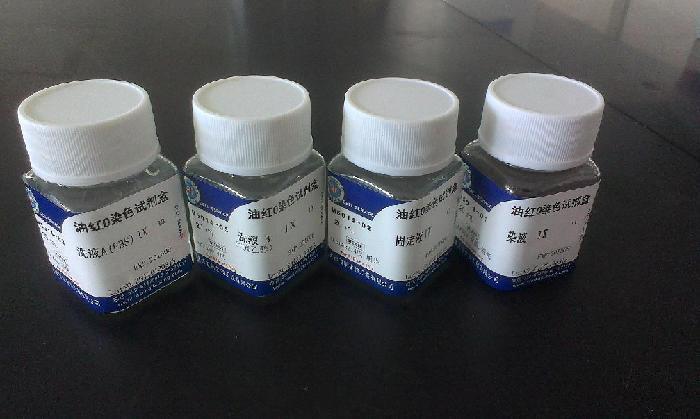 脂肪细胞染色试剂盒（油红O）