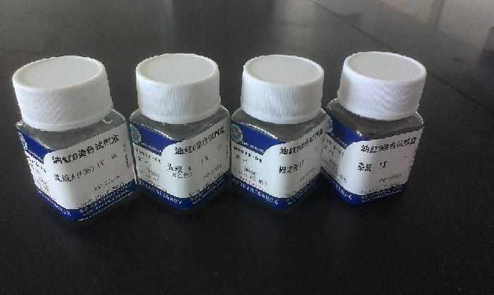 Fat Cell Staining Kits (Oil Red O)