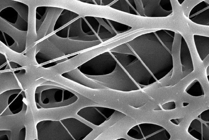 3D Cell Scaffold PCL
