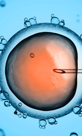Regenerative Medicine