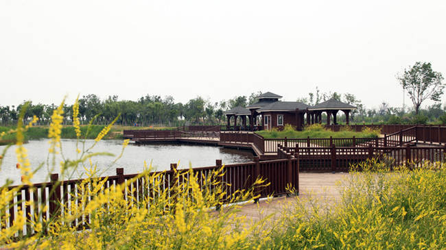 滨海新区官港森林公园尽展自然野趣