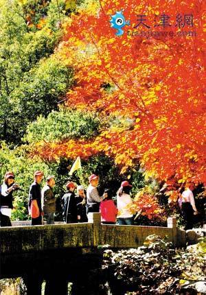 蓟县启动"赏蓟州红叶•读多彩金秋"旅游活动