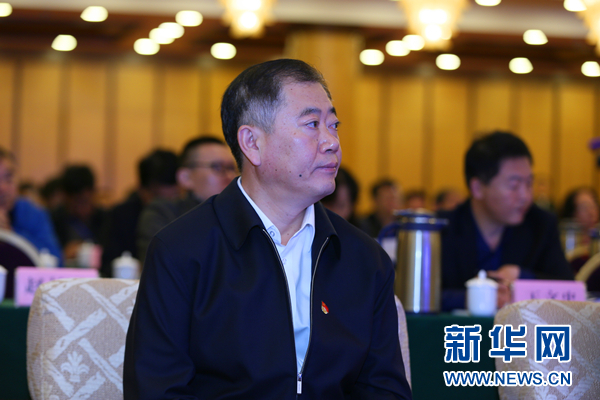 武清区区委副书记、区长戴东强