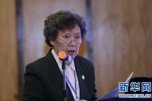 北京市人民政府参事郭军发言