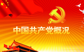 中国共产党概况