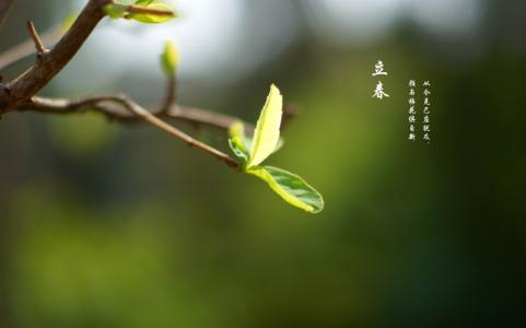 “春打六九头”：４日５时２８分“立春”