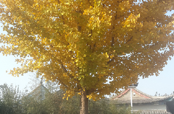 李育贵摄影作品