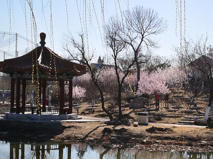 王秀兰摄影作品