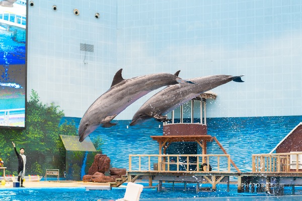 天津海昌极地海洋公园