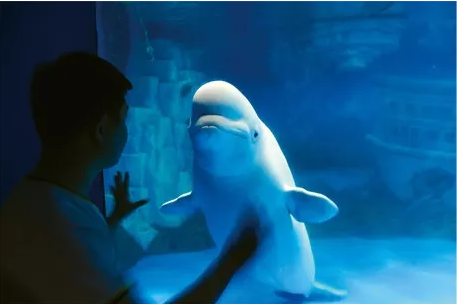 科普中国&mdash;&mdash;天津海昌极地海洋公园暑期夏令营