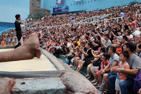 科普中国&mdash;&mdash;天津海昌极地海洋公园暑期夏令营第一期活动