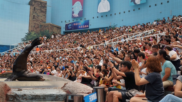 科普中国&mdash;&mdash;天津海昌极地海洋公园暑期夏令营第二期活动