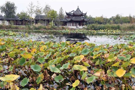 天津建成市区面积最大的城市公园_新华视觉_
