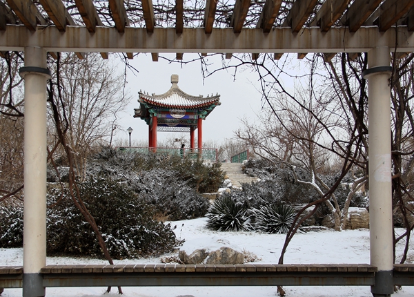 參與獎《河西珠江公園雪後》