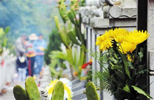 周末迎首个清明祭扫高峰
