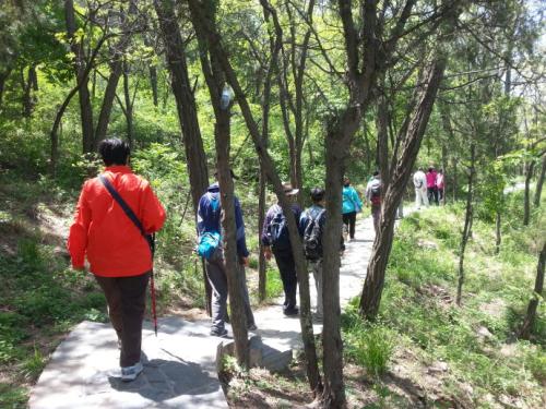 清明假期千元登山游抢手