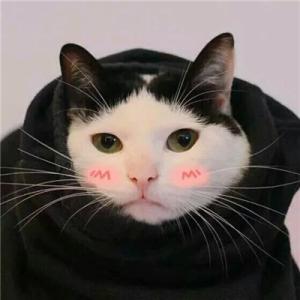 小天: