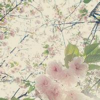 静水流深：