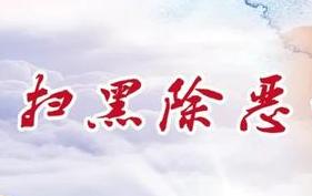 战果 滨海新区：上下联动建“扫黑除恶网络”