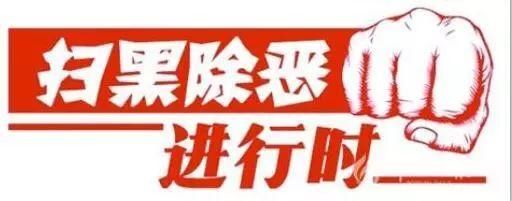 滨海新区公安局成功打掉一涉恶犯罪团伙