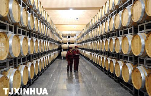 天津王朝酒业30年开启中国酿造新篇章