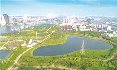 天津滨海新区2020年前所有入海河流力争消除劣V类