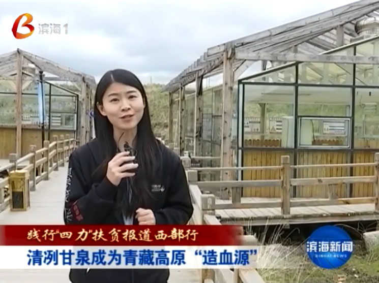 清冽甘泉成为青藏高原“造血源”