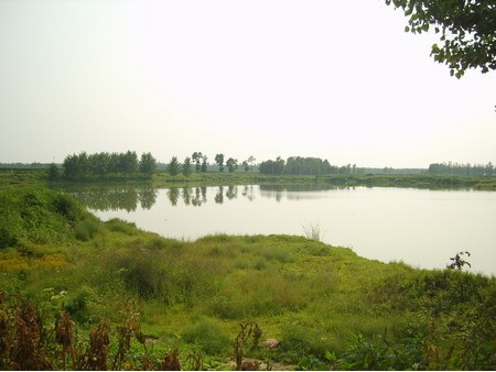 东篱景色