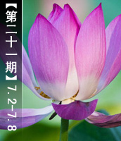 新华视觉一周图片精选【第二十一期】2012.7.2-7.8