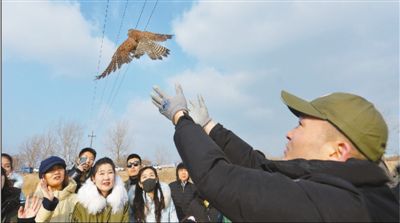 强化法律责任 保护野生动物