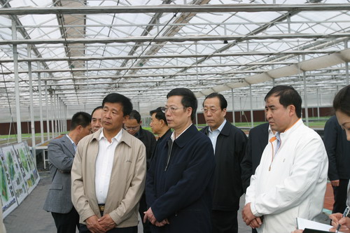 张高丽在区委书记视察辛口镇都市型农业