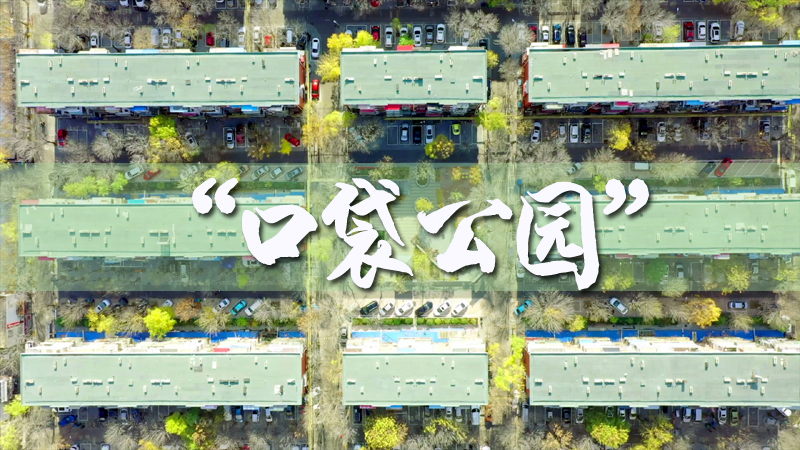 小康生活｜口袋公園