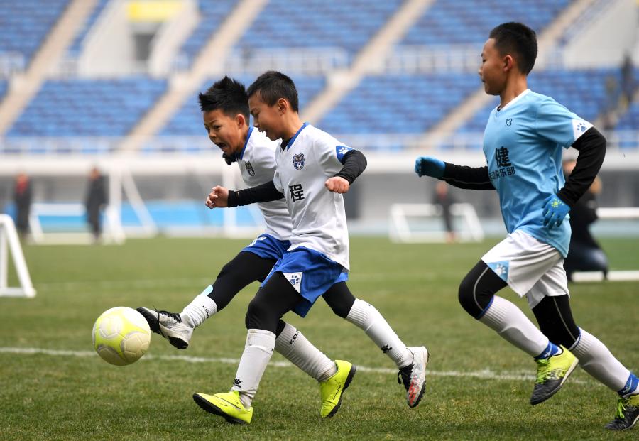 天津市青少年足球冠军赛落幕