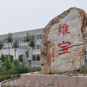 天津日报纪实报道天津地毯园的建设发展