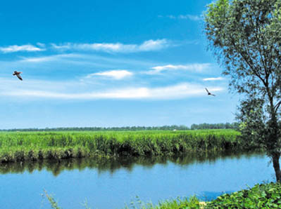 大黄堡湿地自然保护区