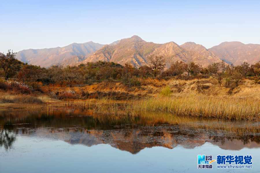 吴军江生态摄影作品二