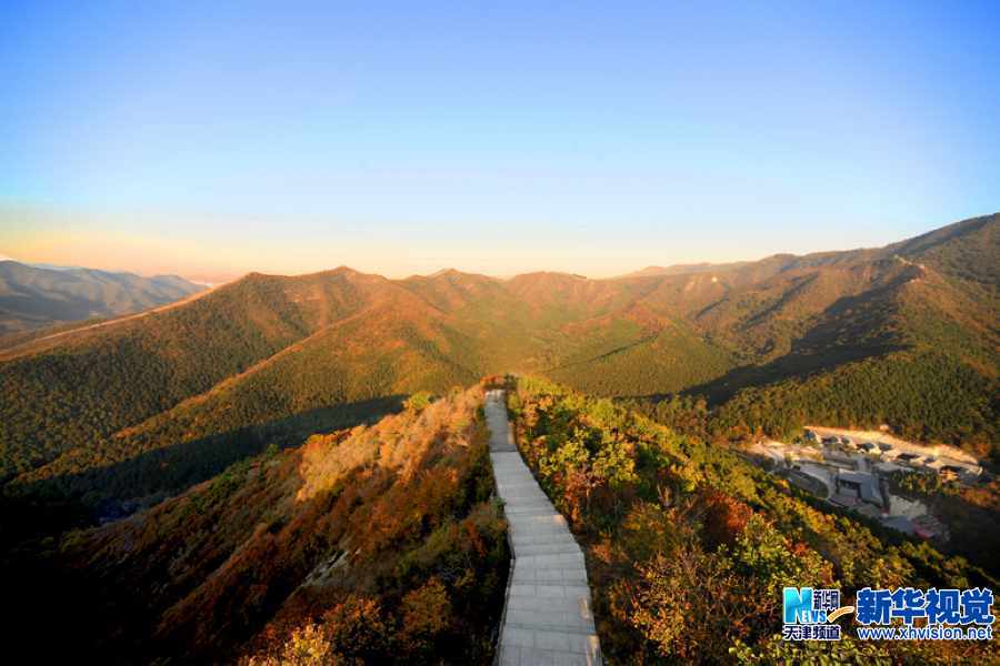 吴军江生态摄影作品三