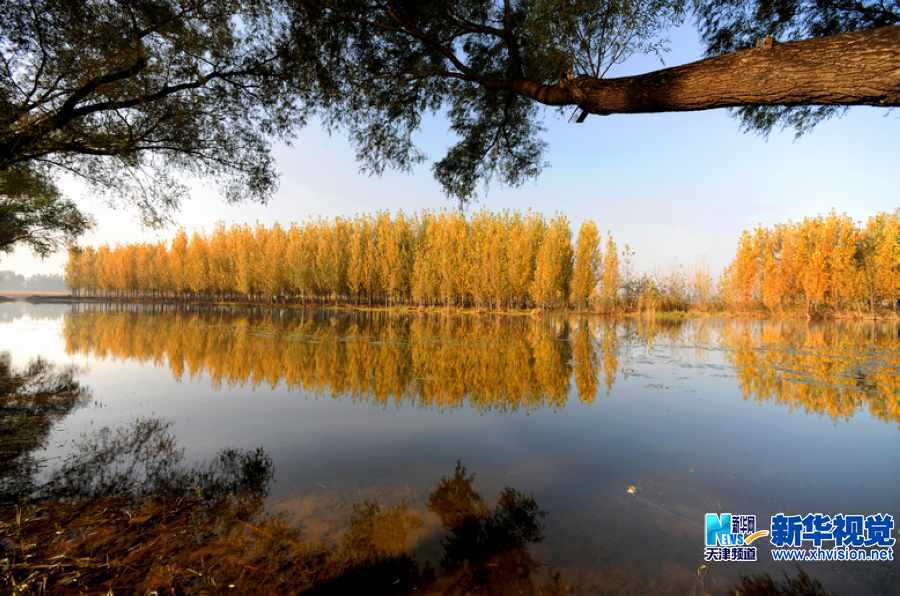 吴军江生态摄影作品四