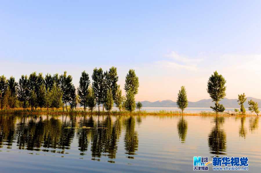 吴军江生态摄影作品五