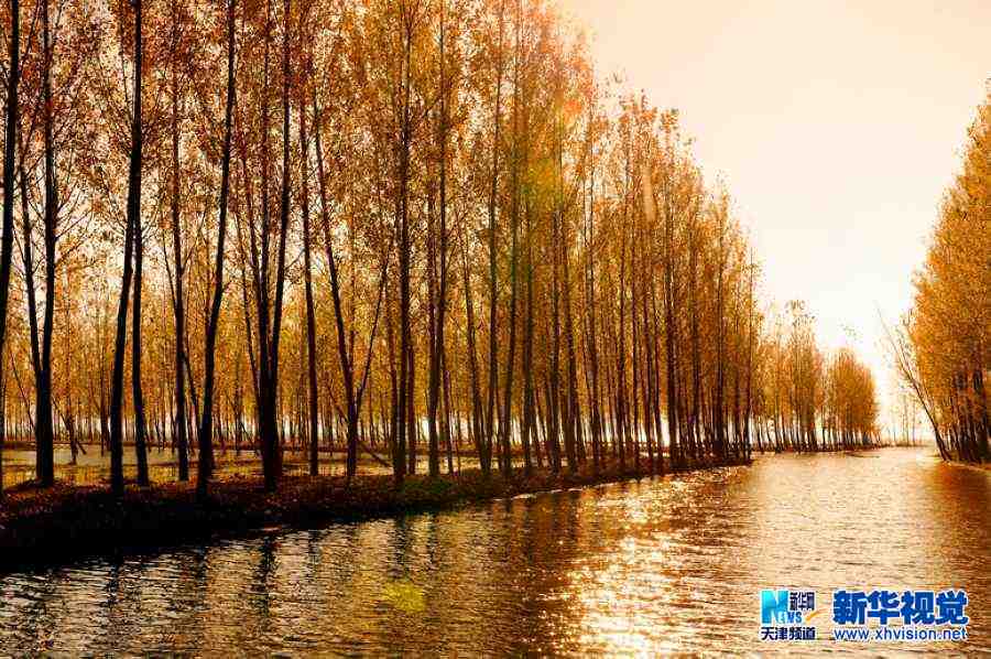 吴军江生态摄影作品六