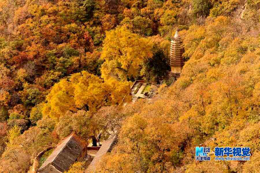 吴军江生态摄影作品七